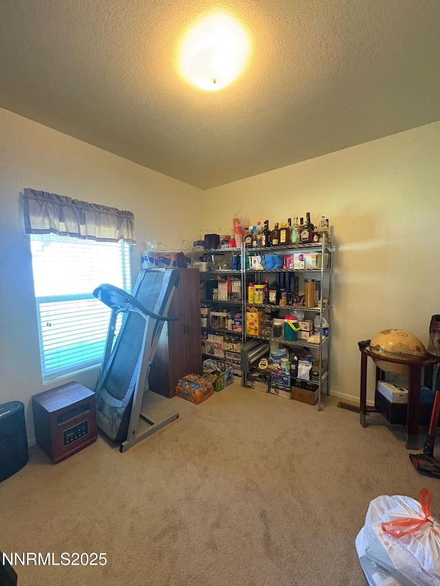 7075 Lazy P Ct, Winnemucca, NV 89445 - photo 21