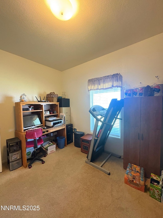 7075 Lazy P Ct, Winnemucca, NV 89445 - photo 22