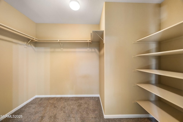 1879 Resistol Dr, Reno, NV 89521 - photo 17