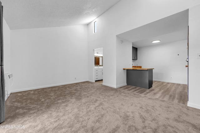 2450 Lymbery St Unit 331, Reno, NV 89509 - unfurnished living room with carpet, a textured ceiling, and a high ceiling
