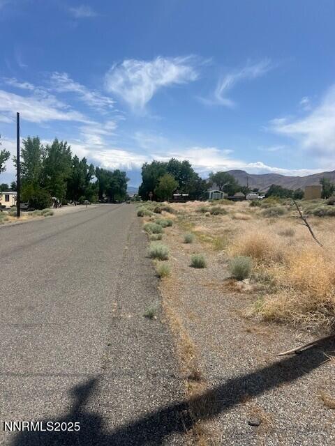 46 Bridge St, Yerington, NV 89447 - photo 2