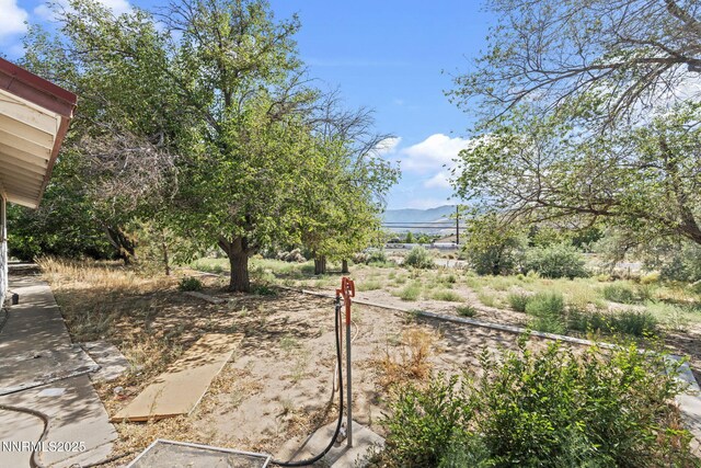 2000 E Clearview Dr, Carson City, NV 89701 - photo 36