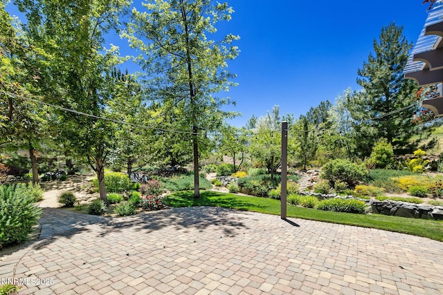 16956 Rue Du Parc Ave, Reno, NV 89511 - view of patio
