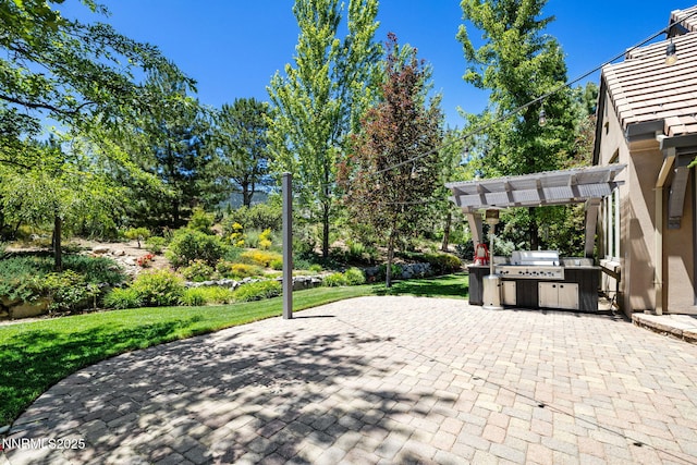 16956 Rue Du Parc Ave, Reno, NV 89511 - view of patio / terrace with a pergola and area for grilling