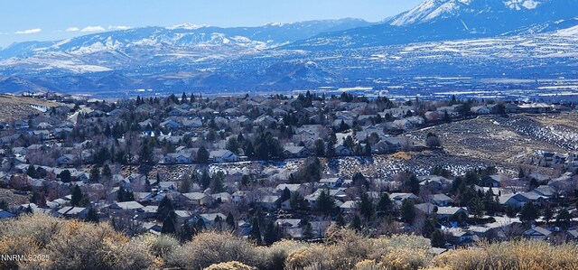 5485 Vista Terrace Ln, Sparks, NV 89436 - photo 15