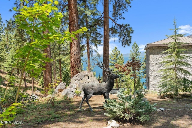 275 Chukkar Dr, Glenbrook, NV 89413 - view of yard