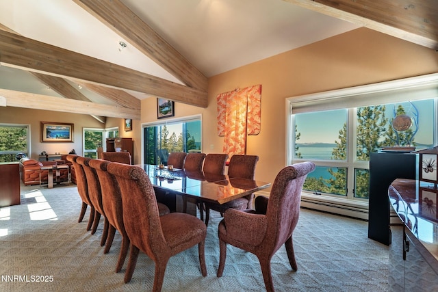 275 Chukkar Dr, Glenbrook, NV 89413 - dining area featuring a baseboard heating unit and carpet floors