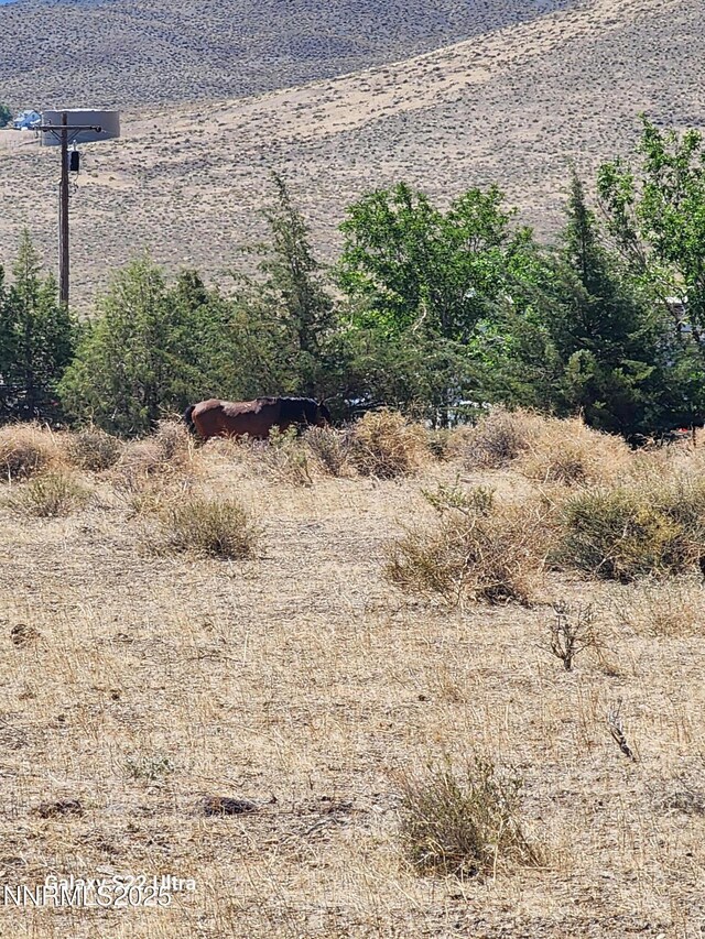 0 Glick Rd, Silver Springs, NV 89429 - photo 16