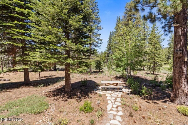 1580 Boca Raton Dr, South Lake Tahoe, CA 96150 - photo 24
