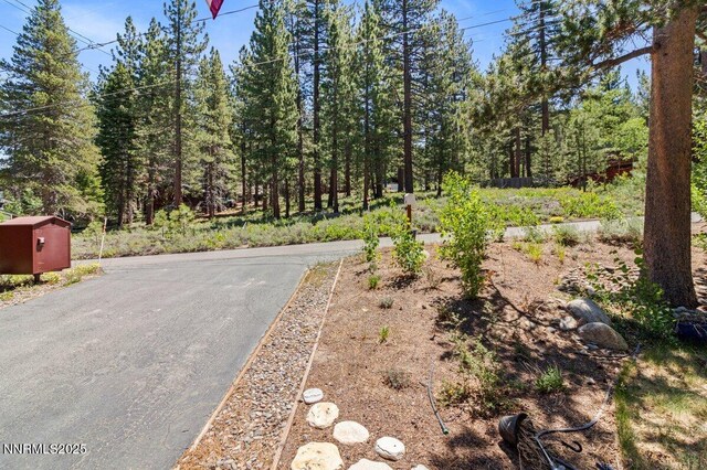 1580 Boca Raton Dr, South Lake Tahoe, CA 96150 - photo 28