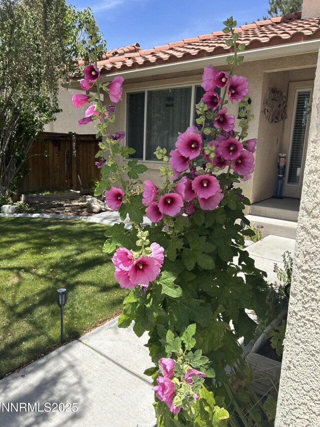 236 La Costa Ave, Dayton, NV 89403 - photo 3