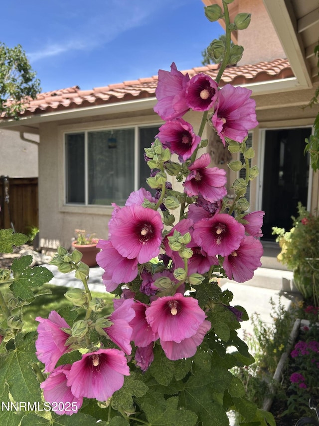 236 La Costa Ave, Dayton, NV 89403 - photo 5