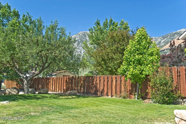395 Fricke Ct, Gardnerville, NV 89460 - photo 32