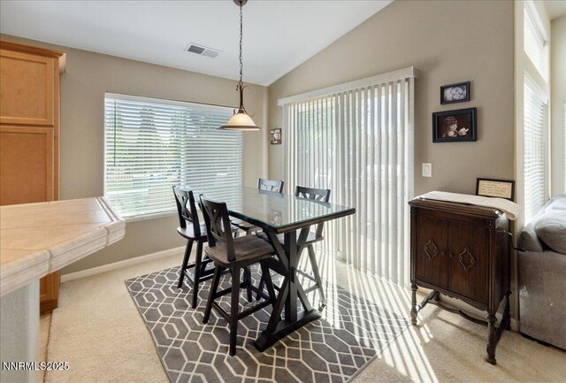 4205 Matter Dr, Sparks, NV 89436 - photo 22
