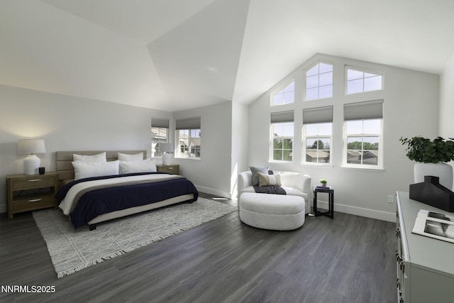 3323 Deer Ridge Ct, Reno, NV 89509 - bedroom featuring dark wood finished floors, multiple windows, and lofted ceiling