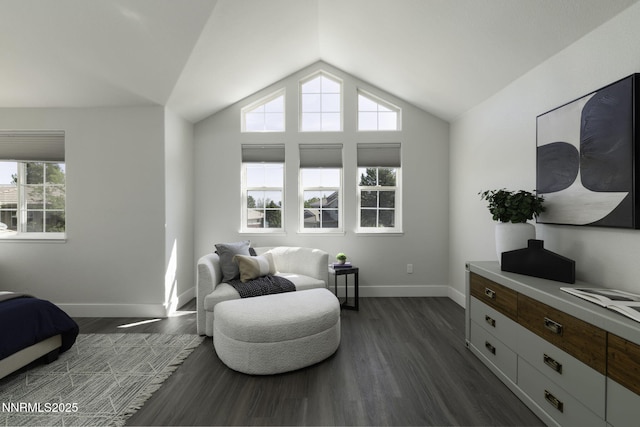3323 Deer Ridge Ct, Reno, NV 89509 - living area featuring dark wood finished floors and lofted ceiling