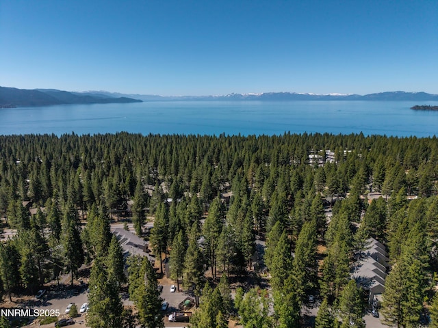 807 Alder Ave Unit 61, Incline Village, NV 89451 - bird's eye view of a heavily wooded area and a water and mountain view