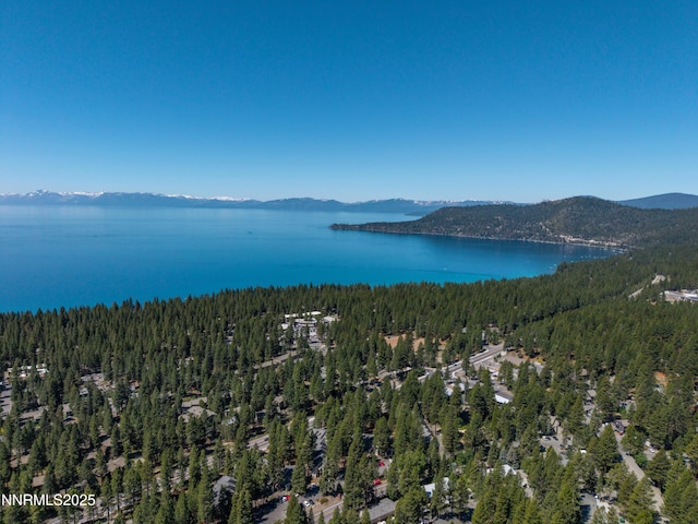 807 Alder Ave Unit 61, Incline Village, NV 89451 - bird's eye view of a forest and a water and mountain view