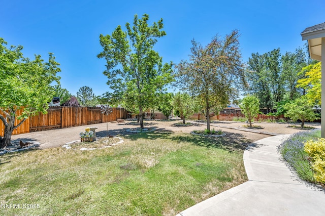 2851 Sierra Mesa Ct, Minden, NV 89423 - photo 53