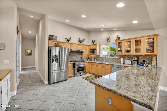 2851 Sierra Mesa Ct, Minden, NV 89423 - photo 17