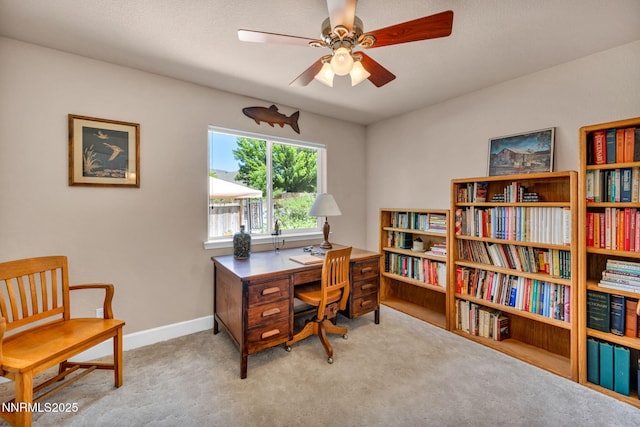 2851 Sierra Mesa Ct, Minden, NV 89423 - photo 36