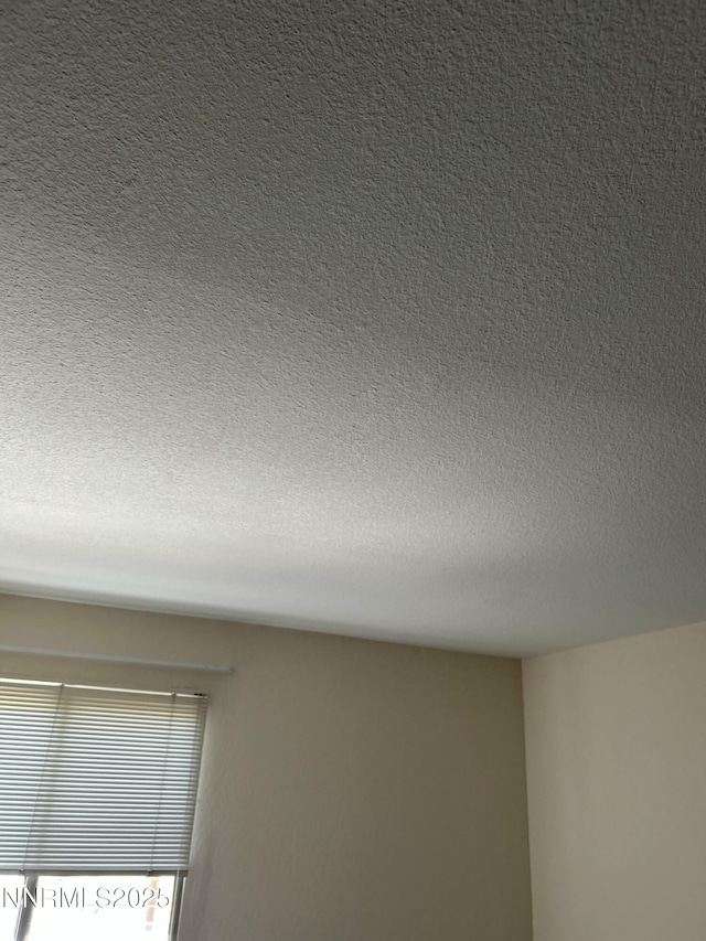 1000 Beck St Unit 361, Reno, NV 89509 - detailed view of a textured ceiling