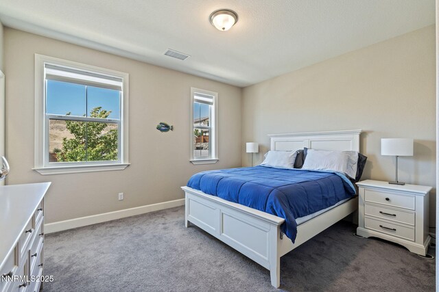 3145 Vecchio Dr, Sparks, NV 89434 - photo 30
