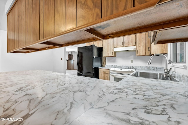 1001 Sonoma St, Carson City, NV 89701 - photo 9