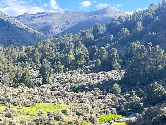 TBD Mill Creek, Battle Mountain, NV 89820