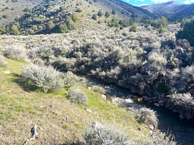 TBD Mill Creek, Battle Mountain, NV 89820