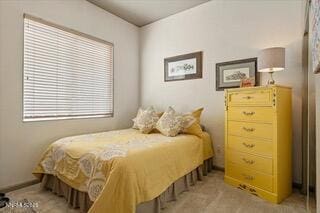 2524 Garzoni Dr, Sparks, NV 89434 - photo 21