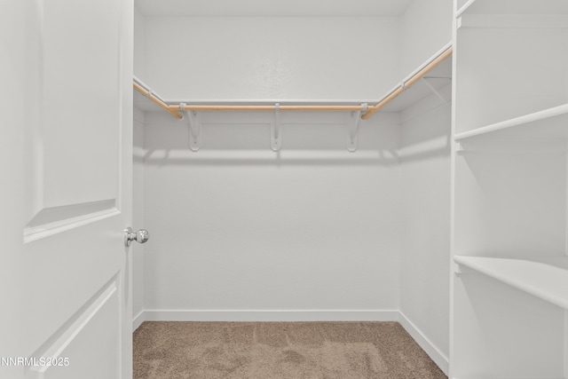 2105 Painted Sky Way, Sun Valley, NV 89433 - photo 31
