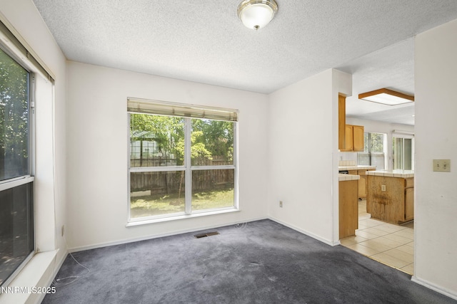 940 Skyway Dr, Reno, NV 89523 - unfurnished room with healthy amount of natural light, light carpet, a textured ceiling, and light tile patterned floors