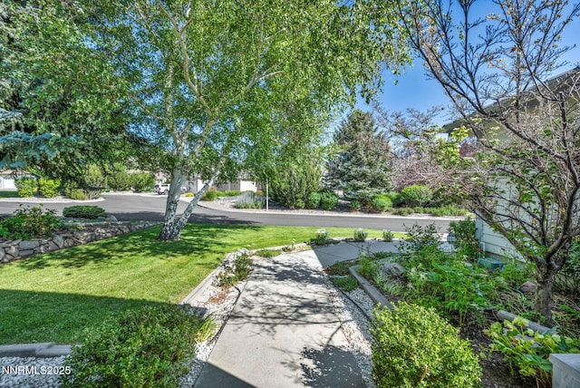 201 Sussex Pl, Carson City, NV 89703 - photo 26