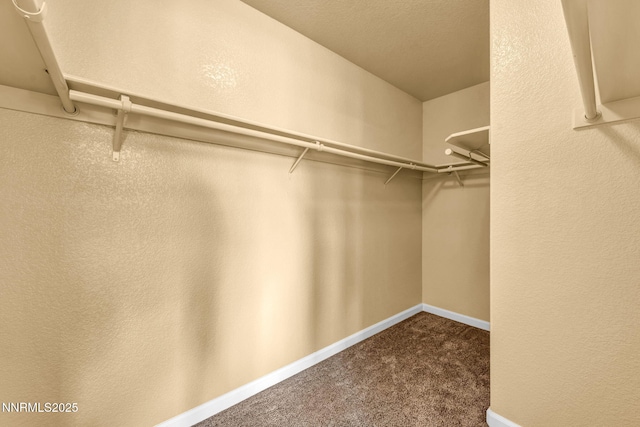 585 Sonora Pass Ct, Sparks, NV 89436 - photo 36