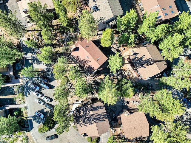 128 Holly Ln Unit B, Stateline, NV 89449 - aerial view of property's location