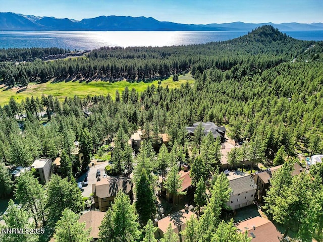 128 Holly Ln Unit B, Stateline, NV 89449 - drone / aerial view of a water and mountain view