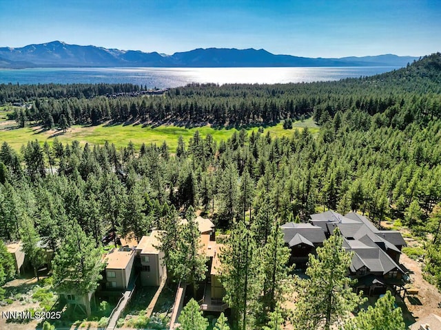 128 Holly Ln Unit B, Stateline, NV 89449 - bird's eye view of a forest and a water and mountain view