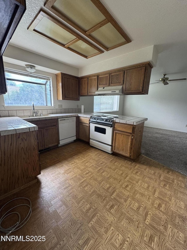 1755 Oakwood Dr, Minden, NV 89423 - photo 5