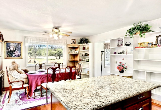 3510 Rancho Cir S, Lake Tahoe, CA 96150 - kitchen featuring a ceiling fan, light stone counters, light wood finished floors, and open shelves
