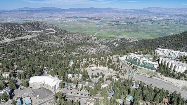 331 Tramway Dr Unit 17, Stateline, NV 89449 - aerial view of property's location with a mountainous background