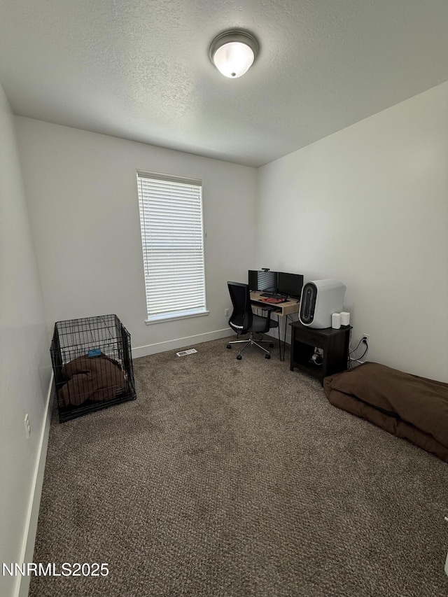 6355 Brinkerhoff Ct, Winnemucca, NV 89445 - photo 14