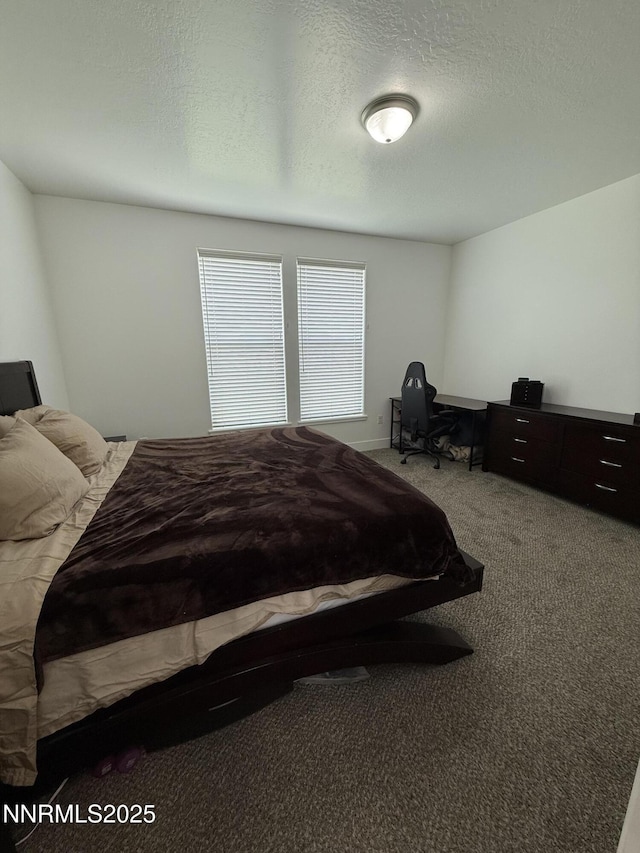 6355 Brinkerhoff Ct, Winnemucca, NV 89445 - photo 12