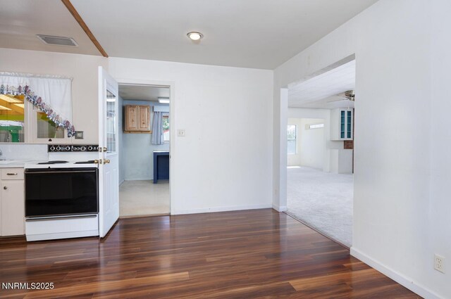 445 S Allen St, Fallon, NV 89406 - photo 9