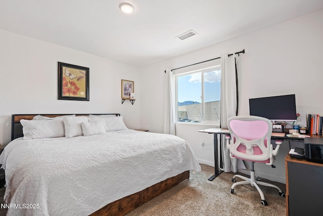 219 Goss Pl, Dayton, NV 89403 - photo 14