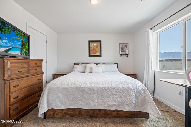 219 Goss Pl, Dayton, NV 89403 - photo 18