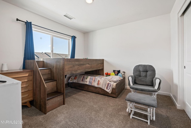 219 Goss Pl, Dayton, NV 89403 - photo 20