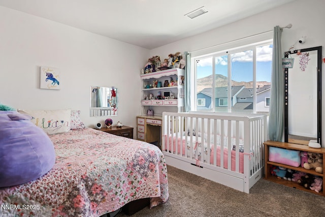 219 Goss Pl, Dayton, NV 89403 - photo 21