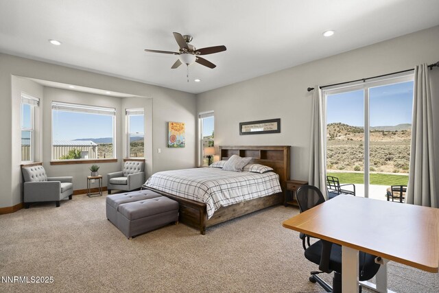 1240 Antelope Valley Rd, Reno, NV 89508 - photo 21