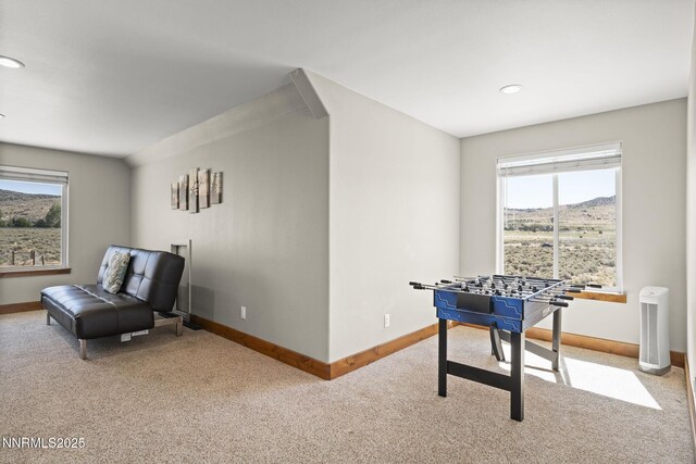1240 Antelope Valley Rd, Reno, NV 89508 - photo 30